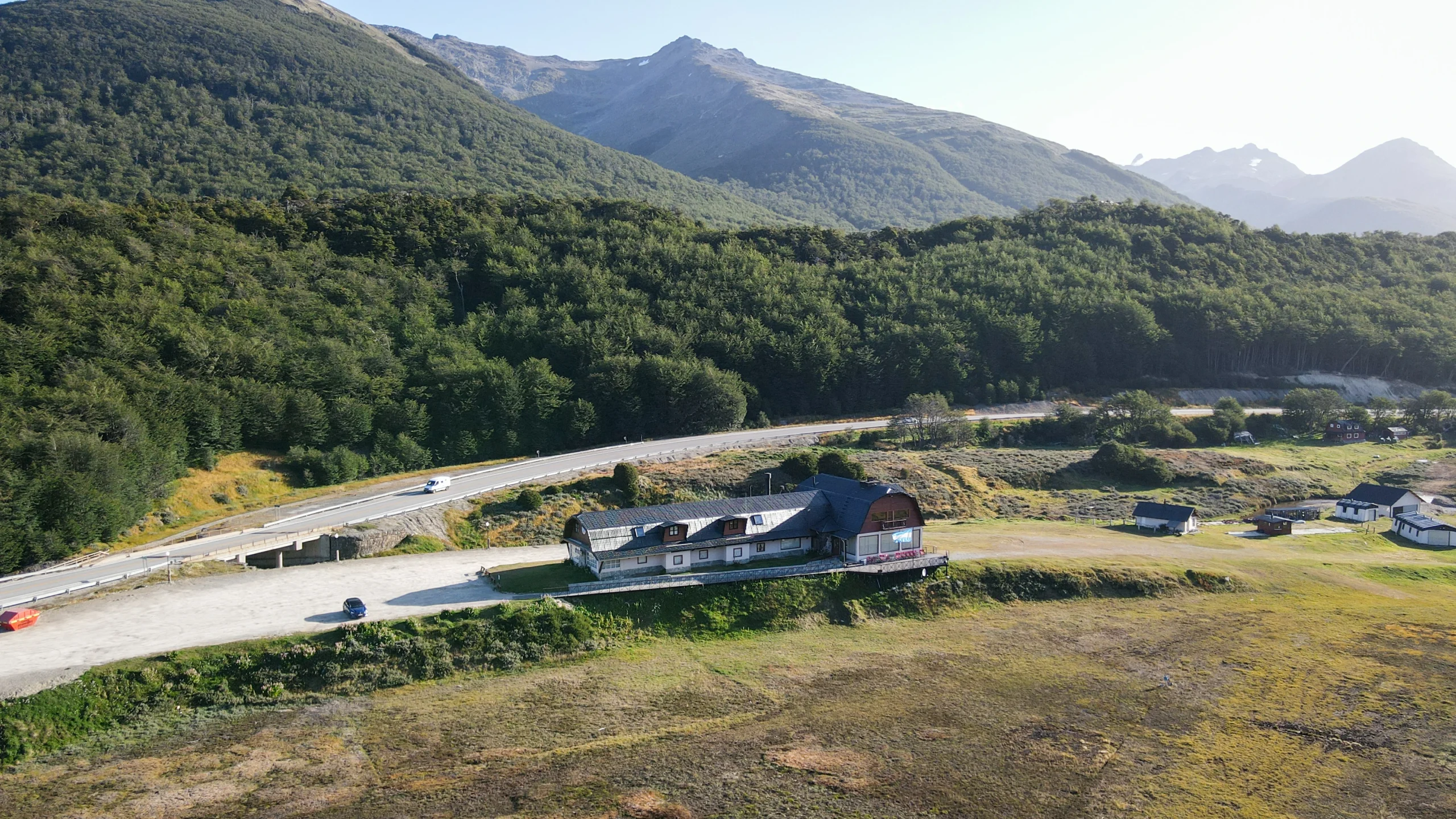 Cotorras desde el aire