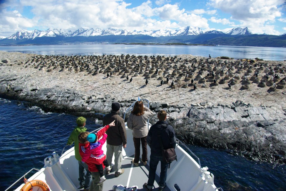 Avistamiento Cormoranes