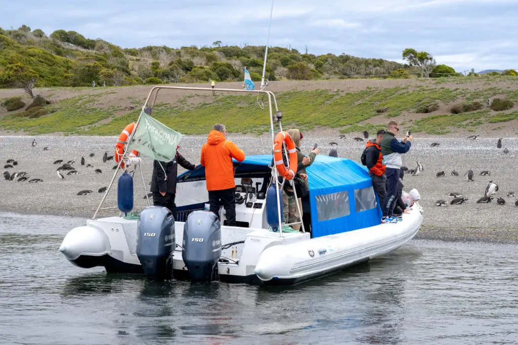 The King Crab Route & Penguin Watching (Adult over the age of 12)
